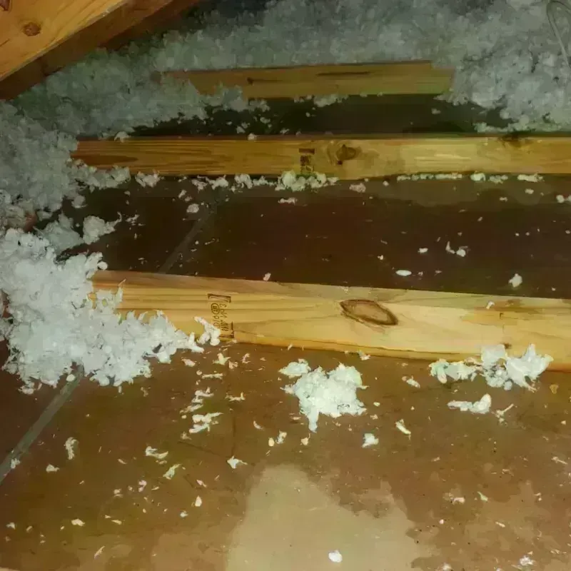 Attic Water Damage in San Mateo County, CA