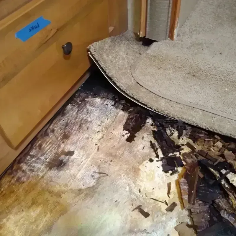 Wood Floor Water Damage in San Mateo County, CA